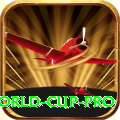 2019 world cup - VIP Royal