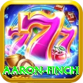 aaron finch Premium v4.1.2