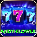 andy flower VIP Pro v5.7.0