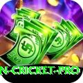 australian cricket Slots Max v3.2.5