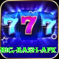 bbl big bash apk Pro v2.4.9
