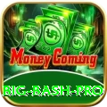 big bash - VIP Prime