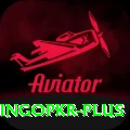 bingopkr Master Pro v2.0.7