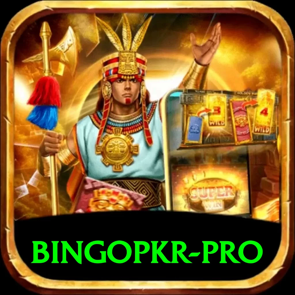 bingopkr Ultimate Gaming App - 2