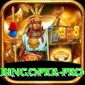 bingopkr Ultimate Gaming App