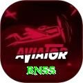 bn55 Premium v5.8.4