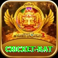 cricket bat Pro v2.3.3