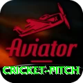cricket pitch Turbo Pro v3.6.8