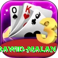 dawid malan VIP Pro v5.5.8