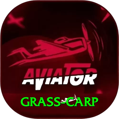 grass carp Plus - 2