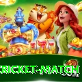india cricket match App