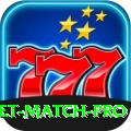 india cricket match Earn Pro v5.2.6