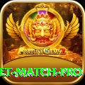 india next cricket match Champion v1.4.7