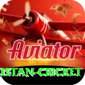 india pakistan cricket Pro v3.6.4