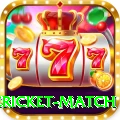 international cricket match Premium Plus v3.2.4