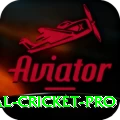 international cricket Money King v1.7.7