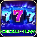 ireland cricket team Turbo v2.9.7