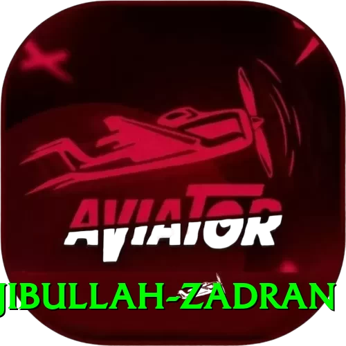 najibullah zadran VIP Pro v1.9.8 - 2