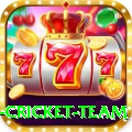 new zealand cricket team VIP Pro v5.9.6