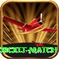 next cricket match Premium Edition v2.5.8