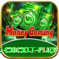online cricket Royal - Win Real PKR