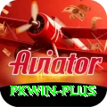 pkwin Gold v5.5.2
