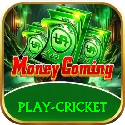 play cricket VIP Pro v3.2.2 - 2