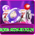 rudi koertzen Pro v5.6.9