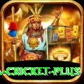 sa cricket King Rewards