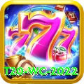 t20 wc 2022 Pro Edition v1.0.1