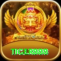 tiger888 Premium Plus vv1.9.3