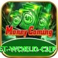 under 19 cricket world cup Master v2.3.1