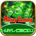 watch live cricket Pro1 v2.2.7