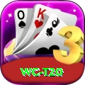 wc t20 Gold Pro v4.3.3