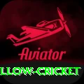 willow cricket Gold v5.2.5