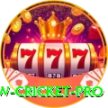 willow cricket Gaming Ultimate v4.1.6