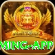 Winli Slots Premium Gaming App