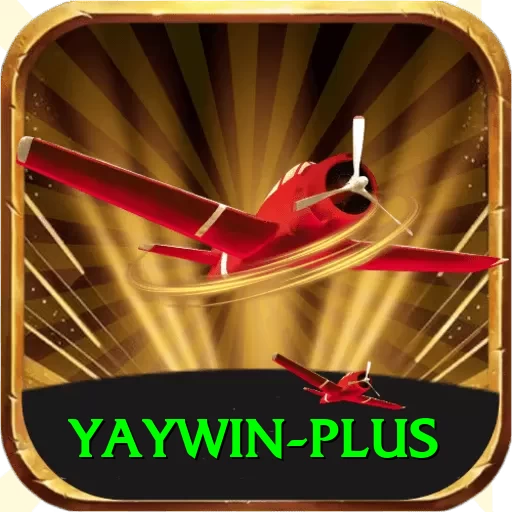 yaywin Premium v5.9.6 - 2